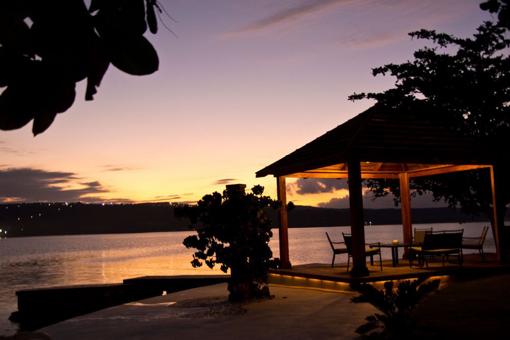 Sea Grapes on the Beach