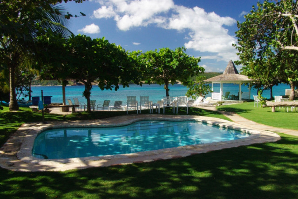 Sea Grapes on the Beach