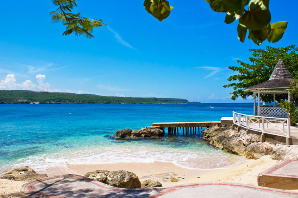Sea Grapes on the Beach