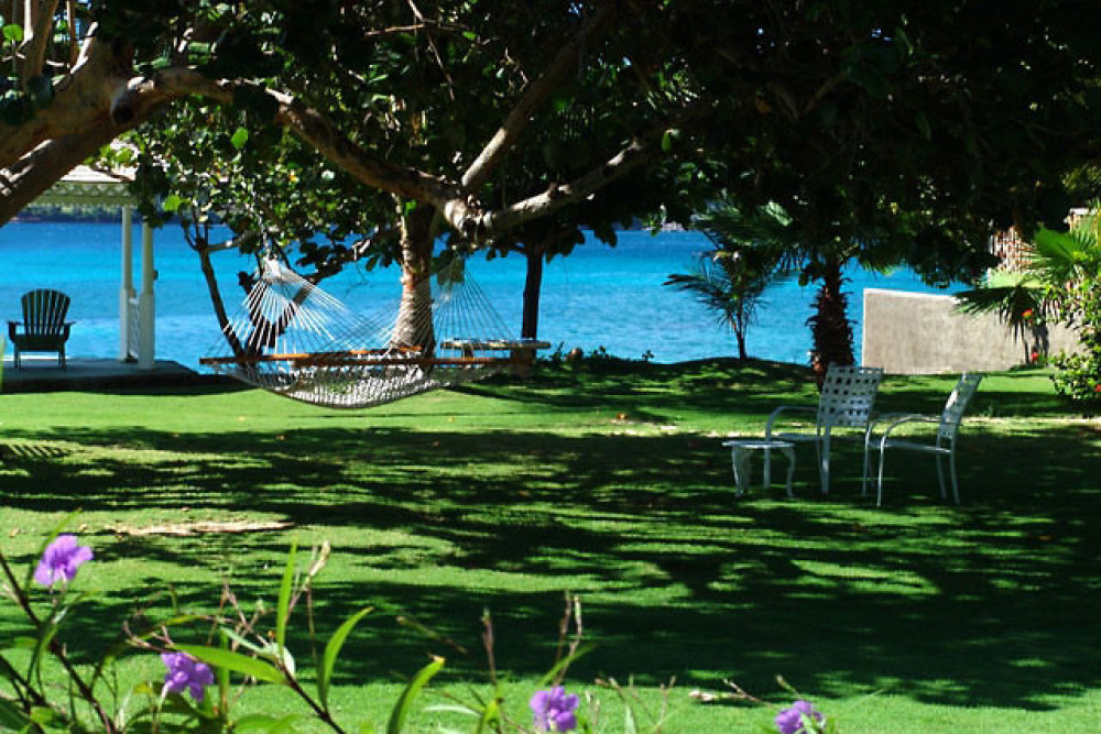 Sea Grapes on the Beach