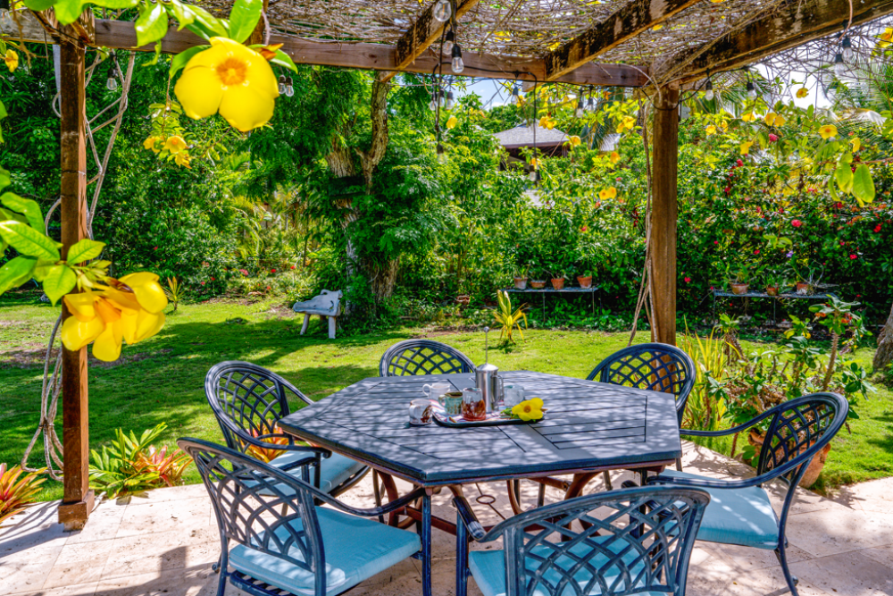 Sea Grapes on the Beach