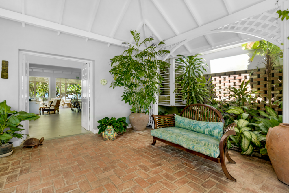 Sea Grapes on the Beach