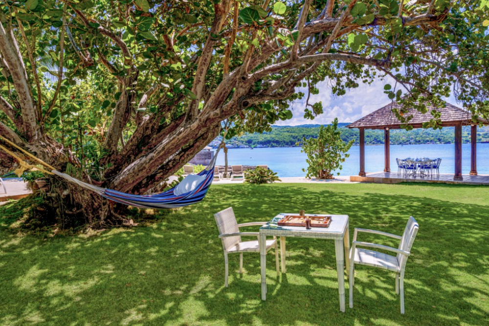 Sea Grapes on the Beach