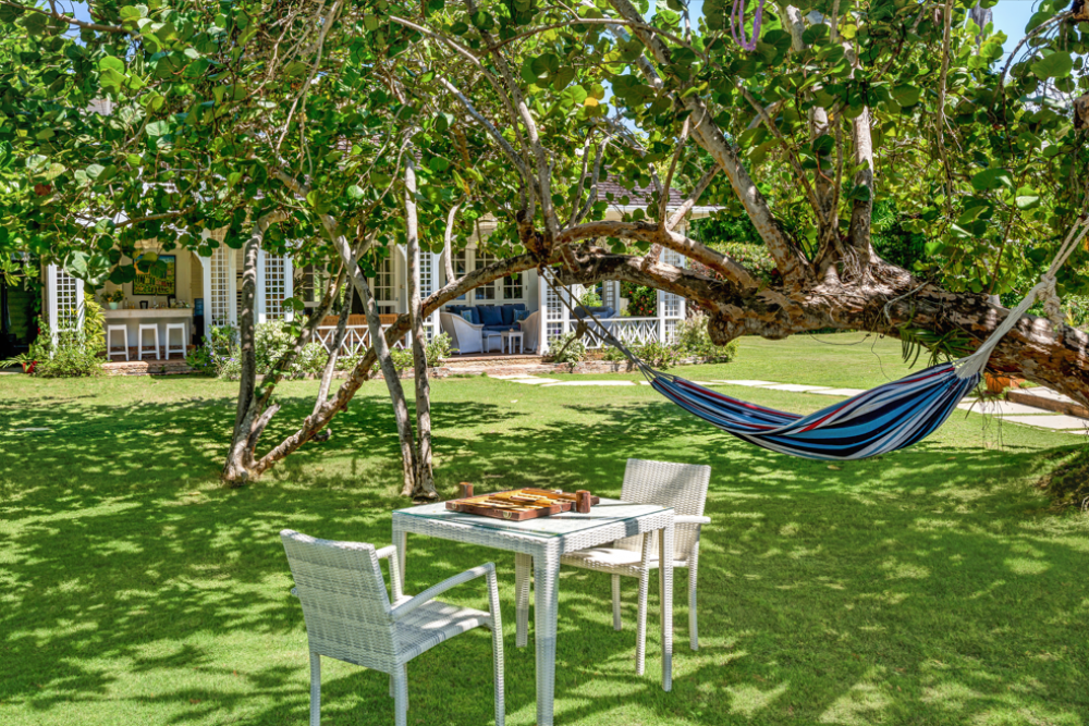 Sea Grapes on the Beach