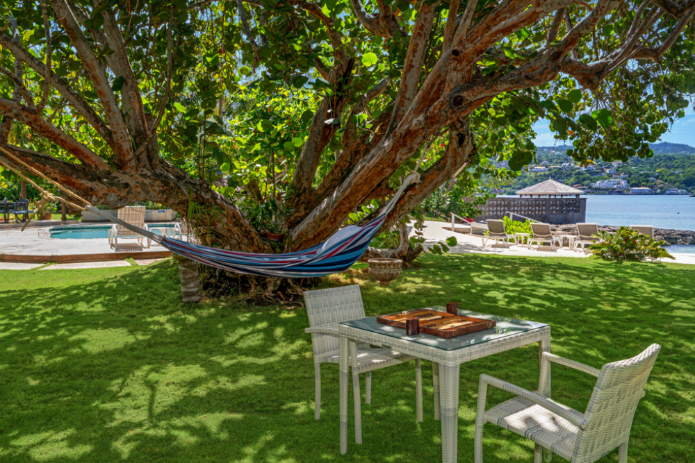Sea Grapes on the Beach