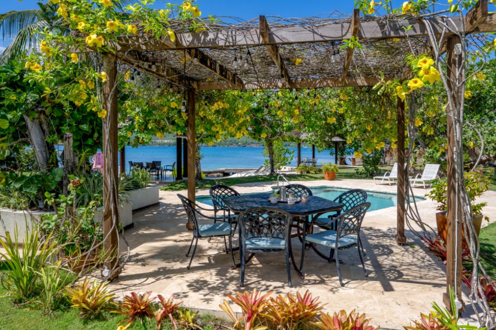 Sea Grapes on the Beach