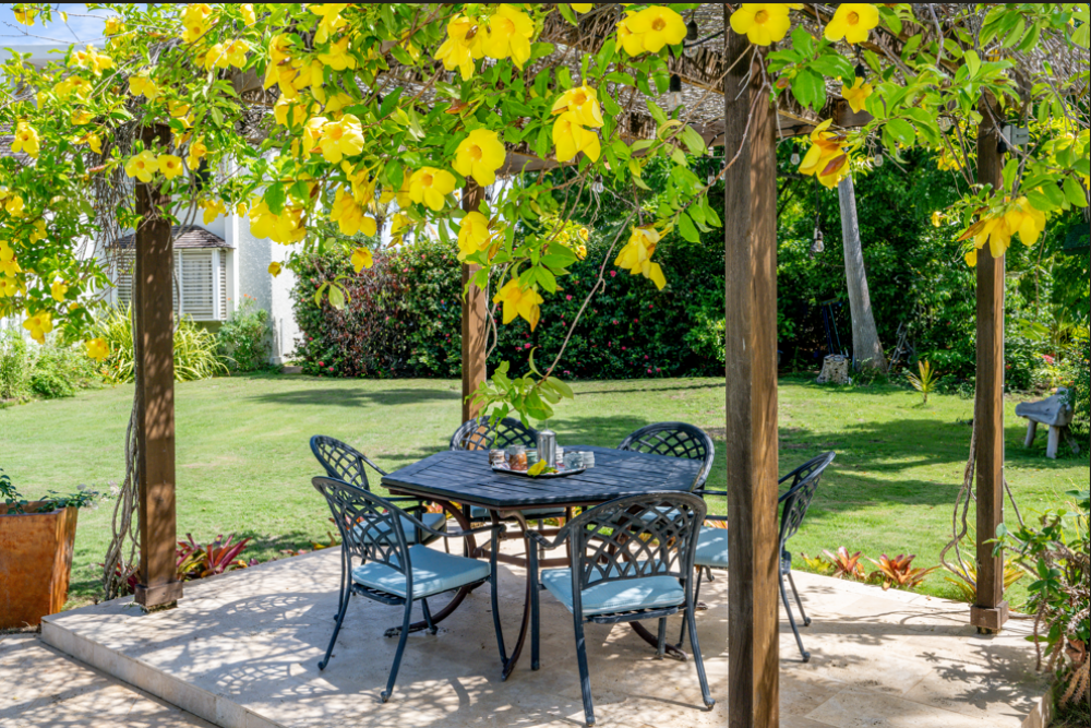 Sea Grapes on the Beach