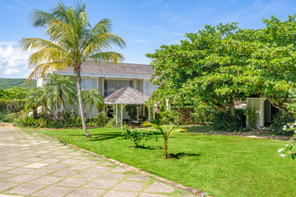 Sea Grapes on the Beach