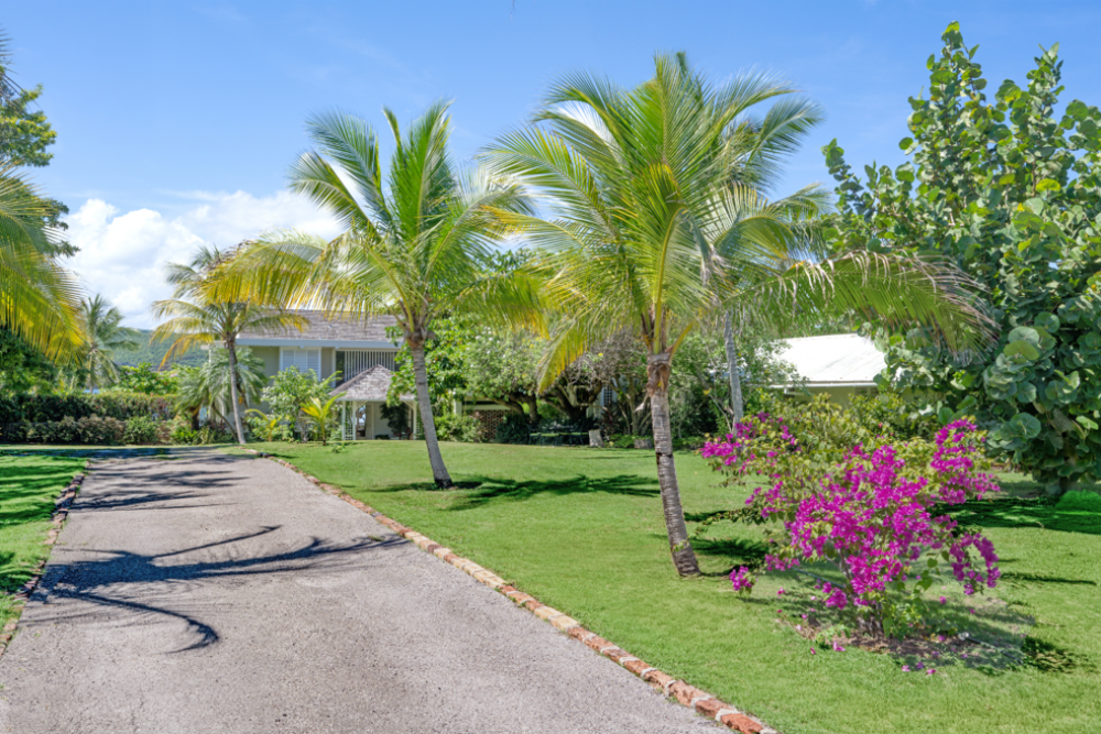 Sea Grapes on the Beach