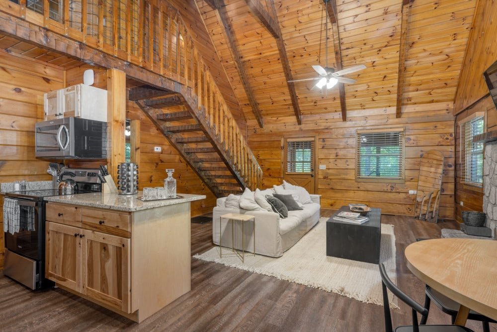 Sevierville 106