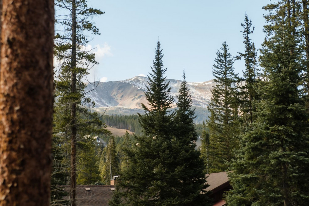 Breckenridge 103