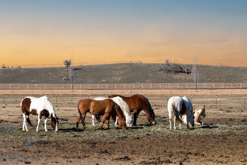 Brasada Ranch Resort 1