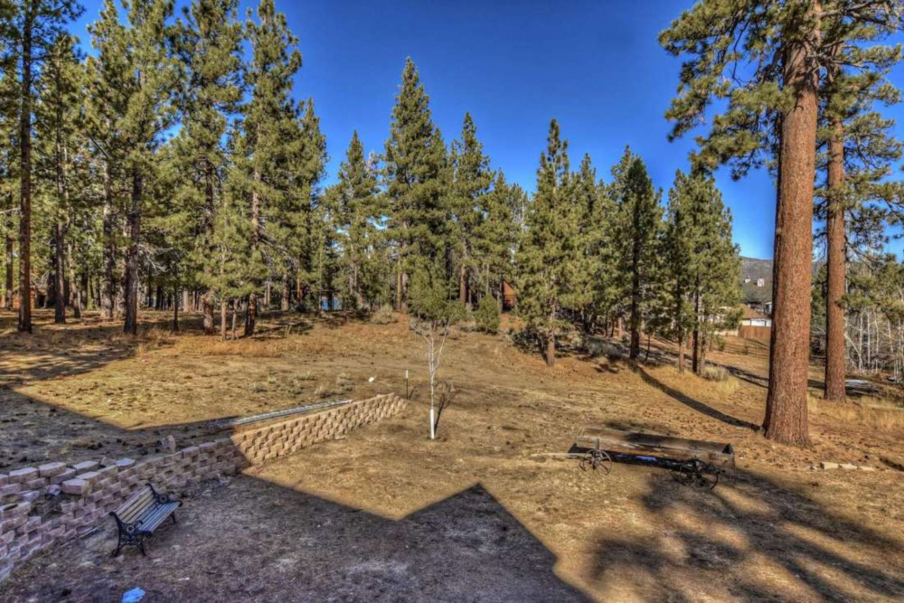 Big Bear Lake 12