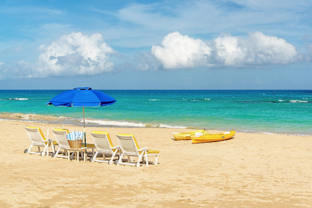 Sweet Spot on the Beach