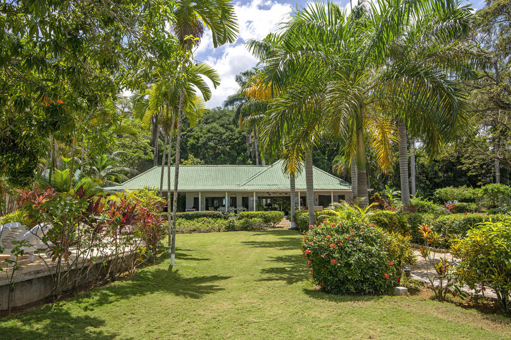 Tranquillity on the Beach
