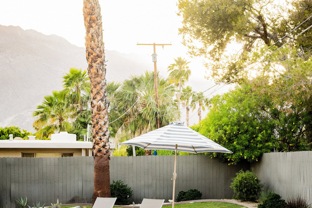 Palm Springs 151