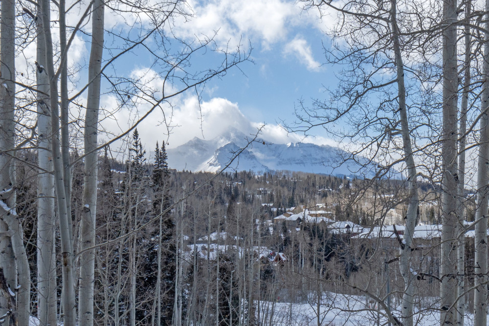 Mountain Village 17