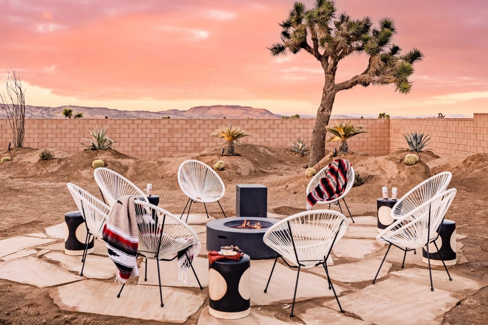 Joshua Tree 23