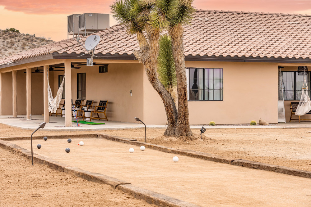 Joshua Tree 23
