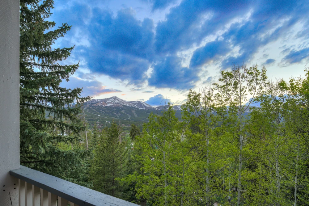 Breckenridge 105