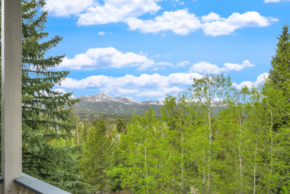 Breckenridge 105