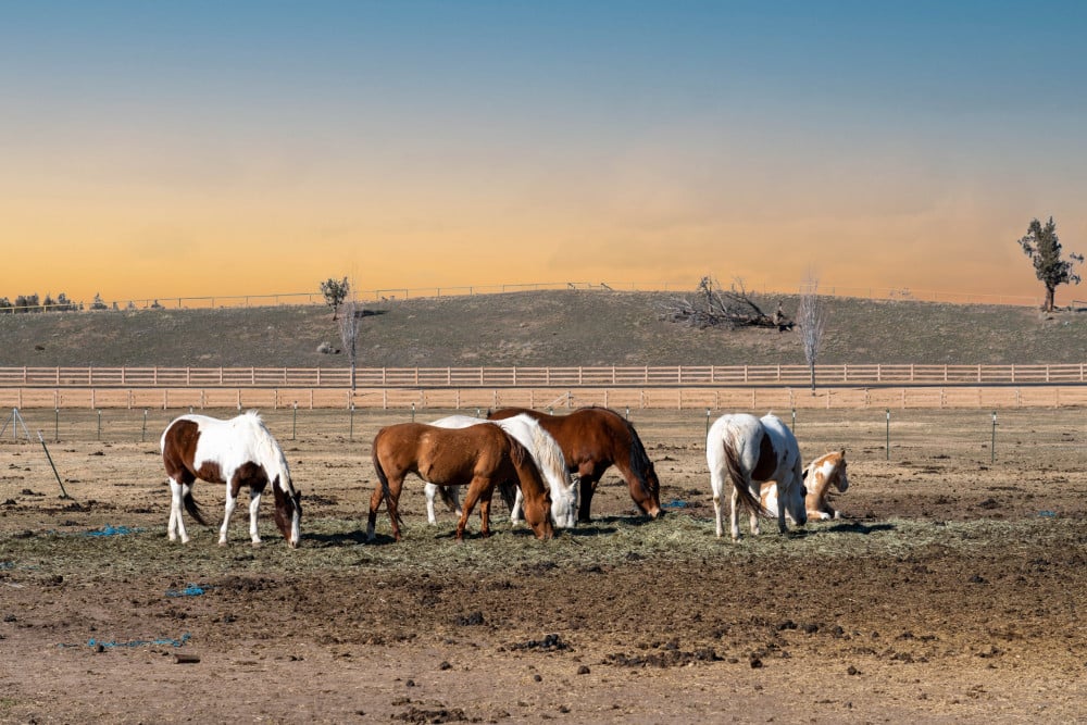 Brasada Ranch Resort 4