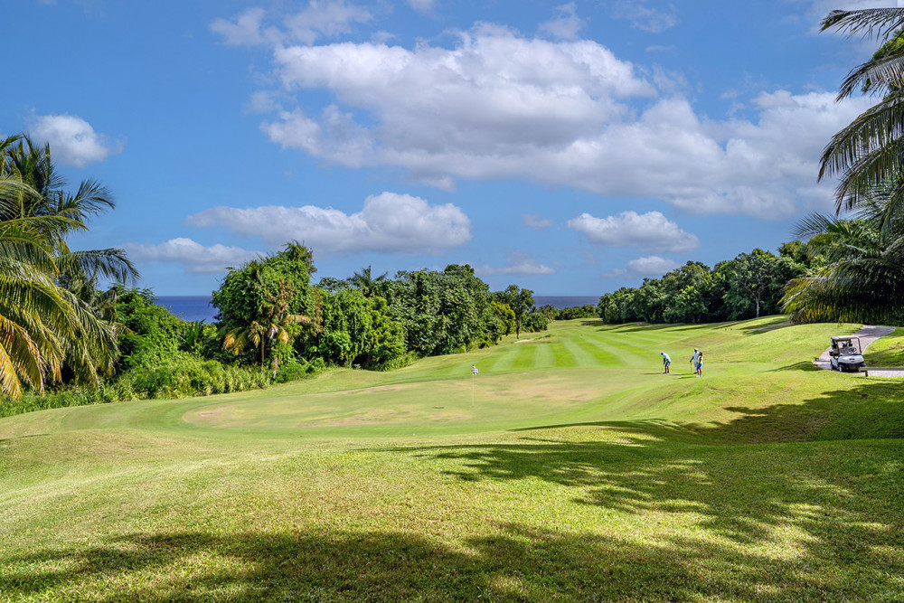 Tek Time Golf Villa on Cinnamon Hill