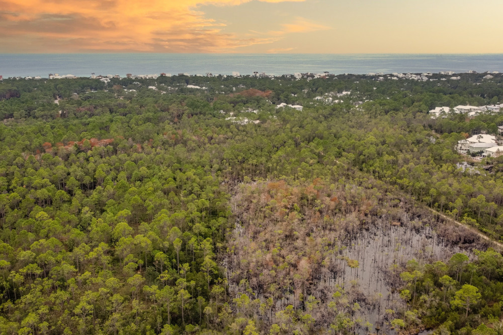 Seagrove 10