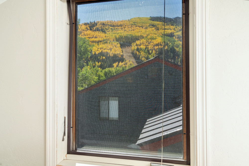Telluride 32