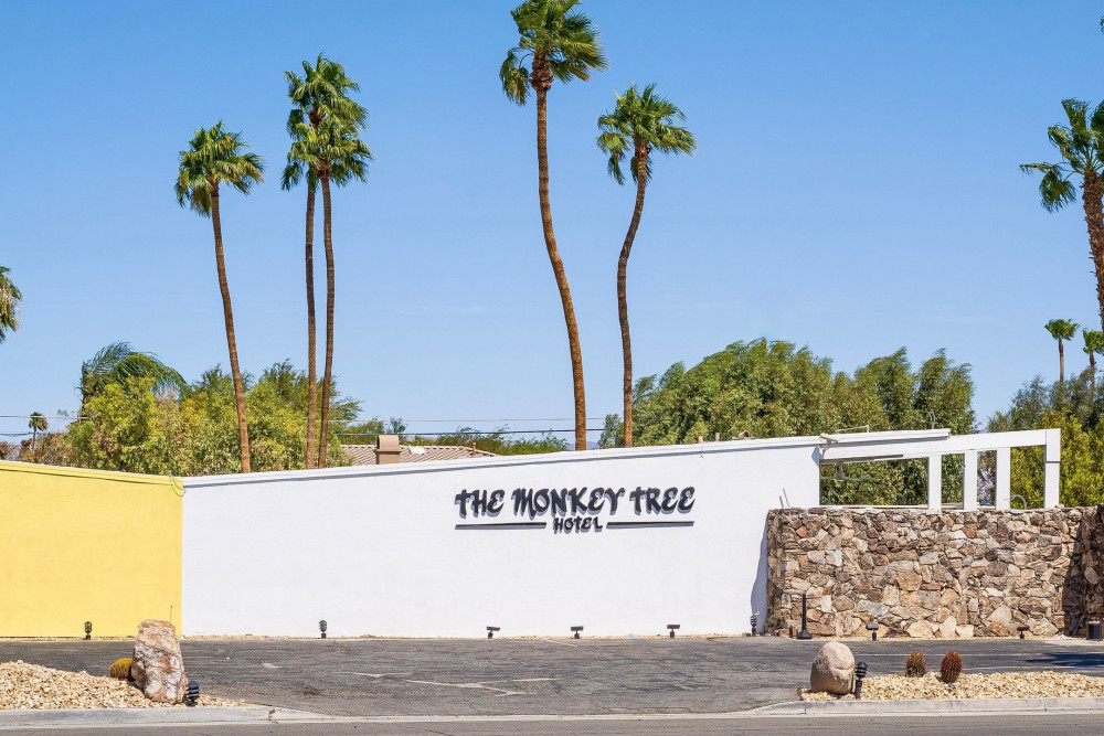 Palm Springs 223