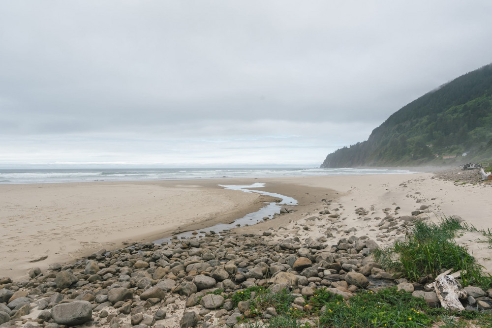 Manzanita 8