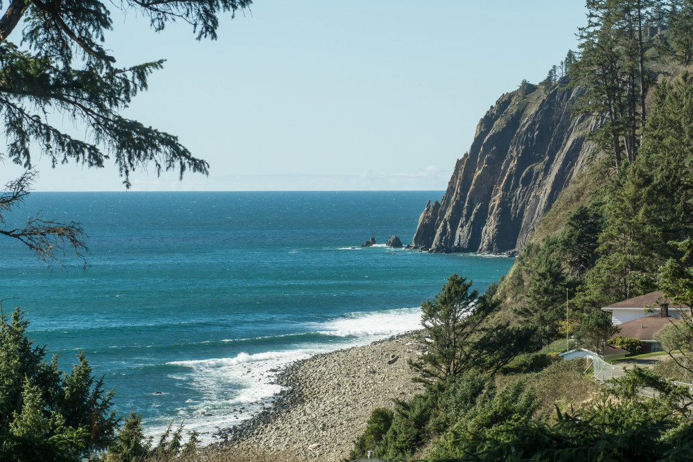 Manzanita 8