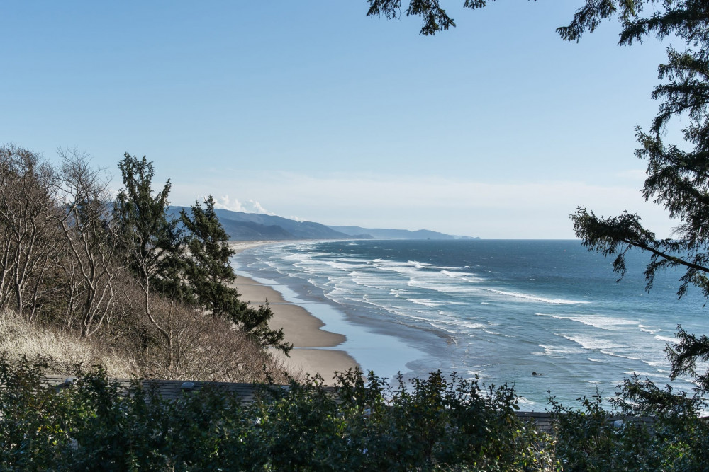 Manzanita 8