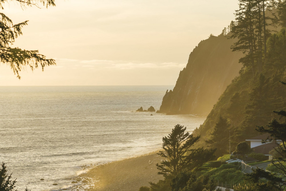 Manzanita 8