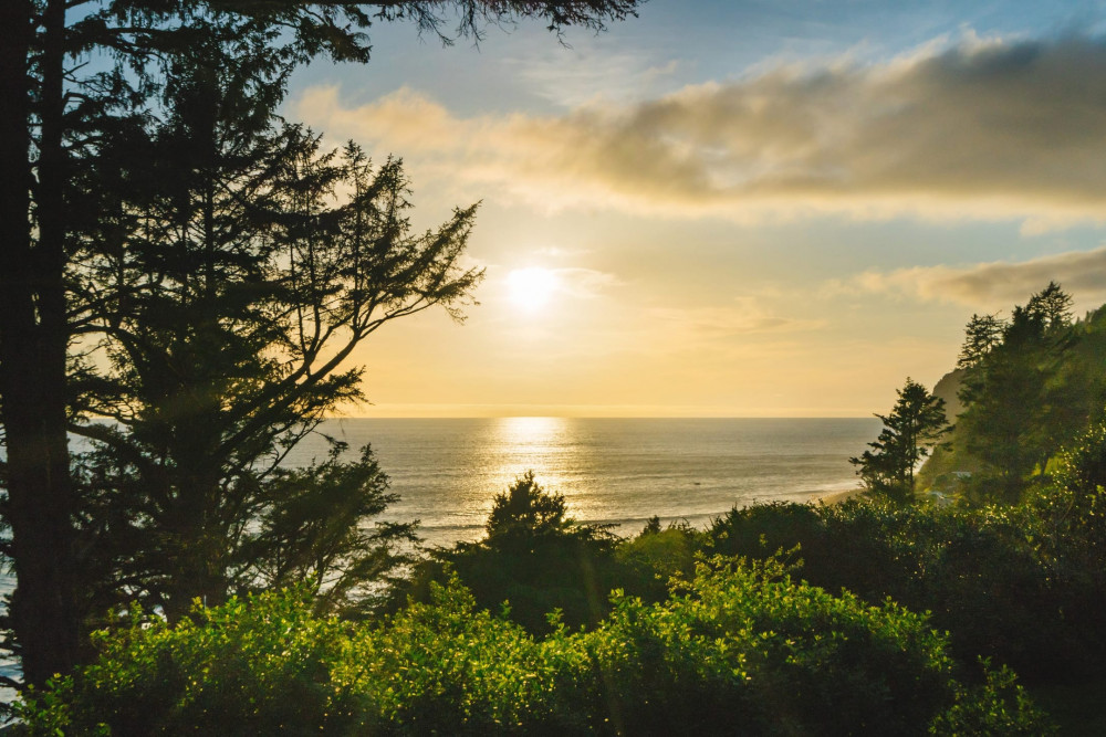 Manzanita 8