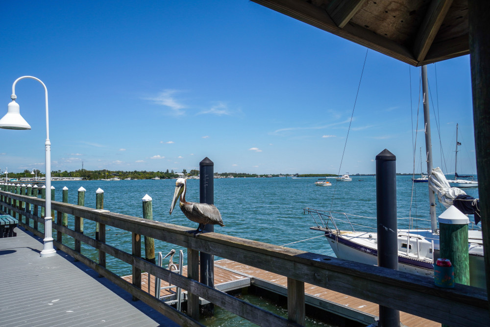 Bradenton Beach 6