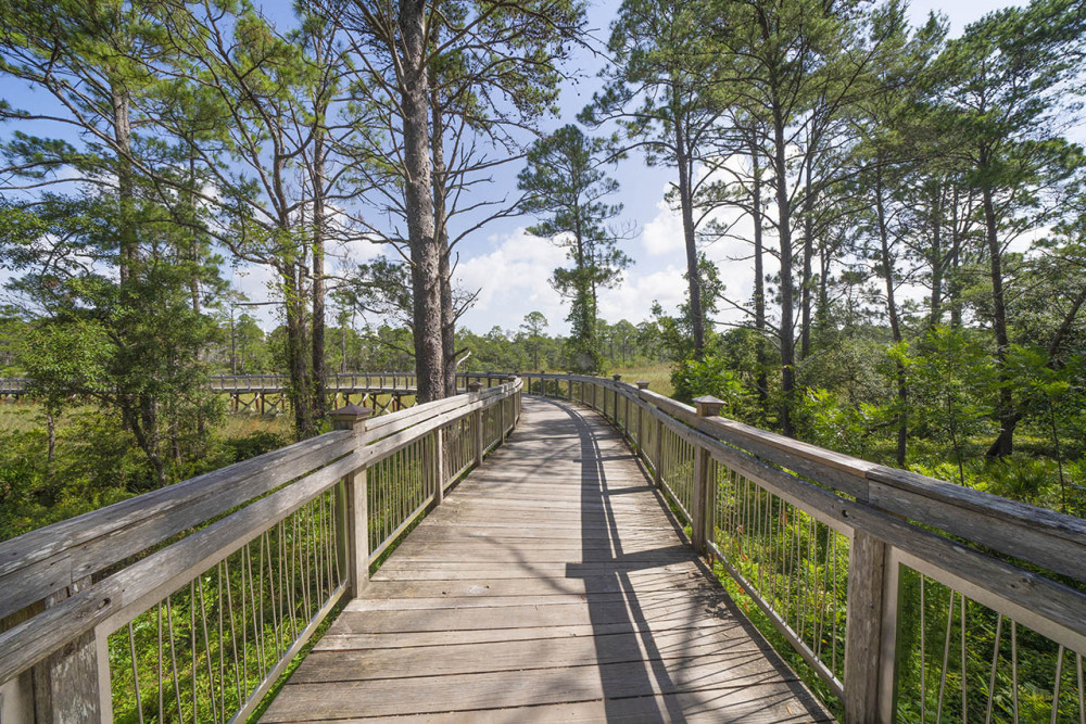Seagrove 16