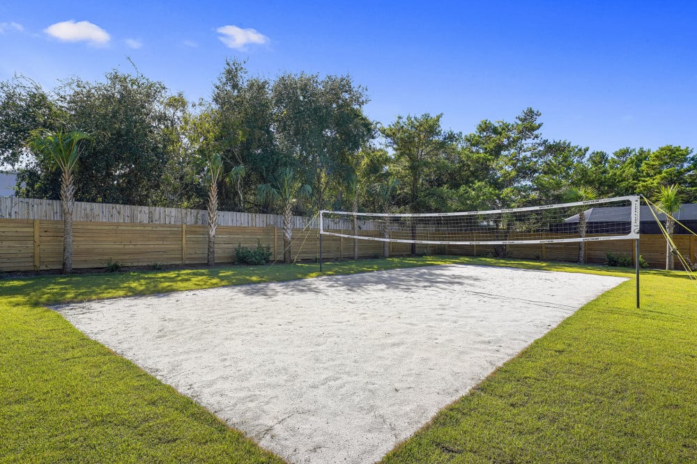 Blue Mountain Beach 1