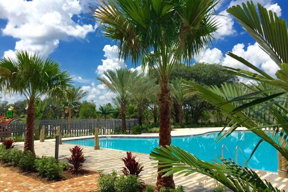 Festival Resort 53