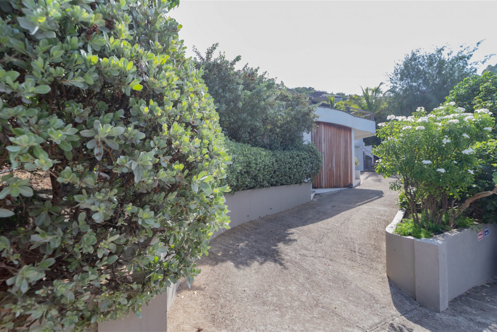 Phoenix Pointe Milou