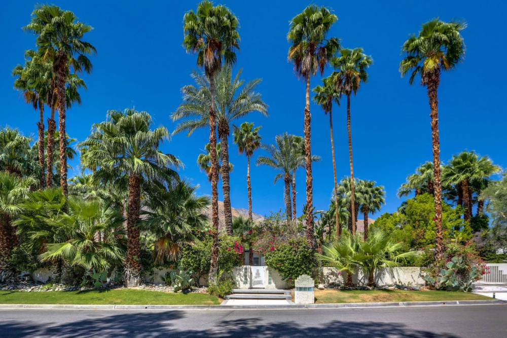 Palm Springs 135