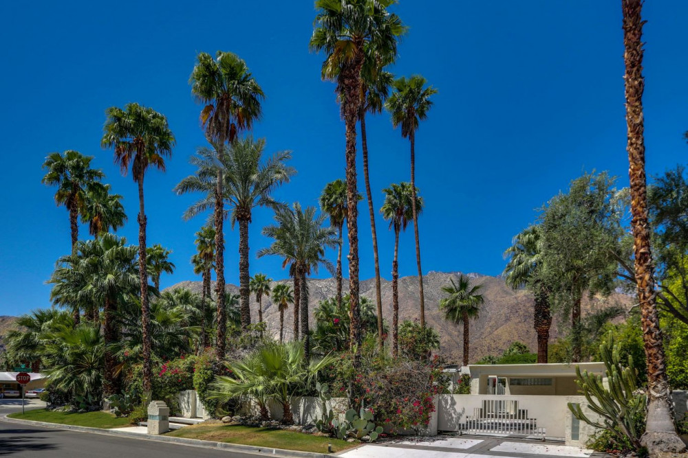 Palm Springs 135