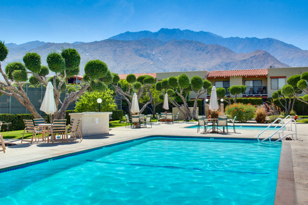 Palm Springs 147