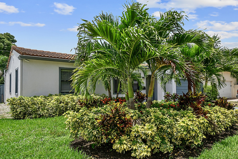 Wilton Manors 8