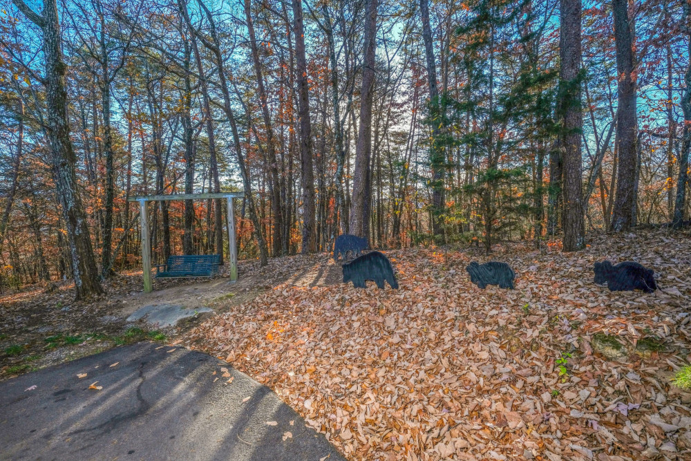 Pigeon Forge 74