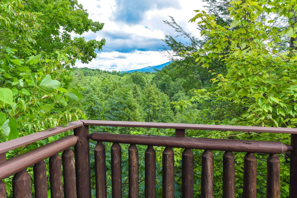 Gatlinburg 239