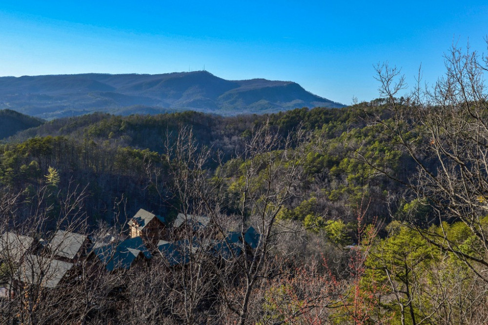 Pigeon Forge 169