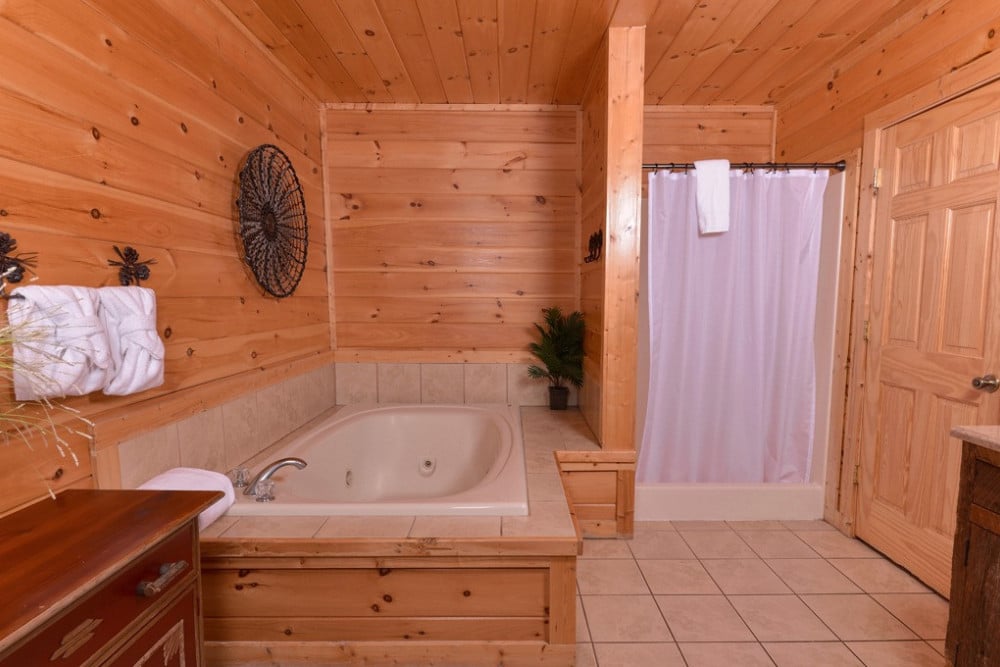 Pigeon Forge 169