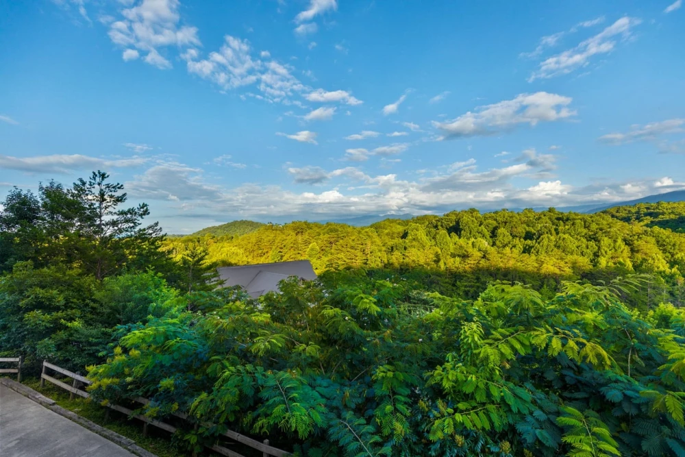 Pigeon Forge 90