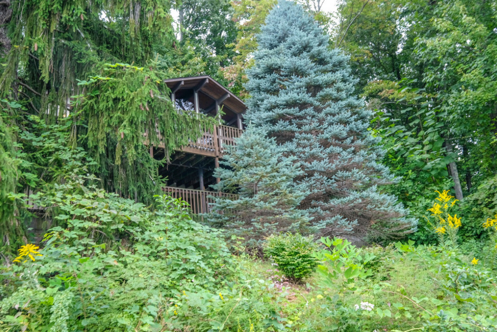 Gatlinburg 128